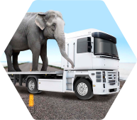 Транспортные компании завода-производителя метизов ТЕТАЛИТ